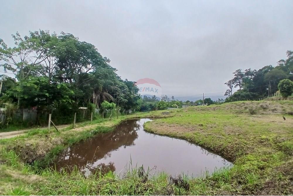 Terreno - Venda - Mogi das Cruzes , São Paulo - 20241113_155324.jpg - 631251047-37