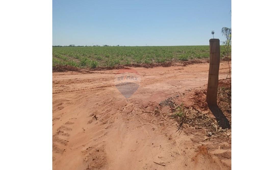 Chácara / Sítio / Fazenda - Venda - Valentim Gentil , São Paulo - WhatsApp Image 2024-11-17 at 09.37.09.jpeg - 630541038-19