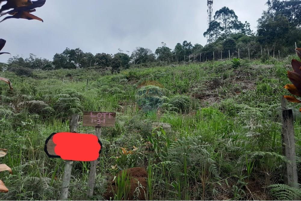 Terreno - Venda - Teresópolis , Rio de Janeiro - d0f5d463-a94a-44a6-8759-c17a4abc228d.jpg - 630191084-11
