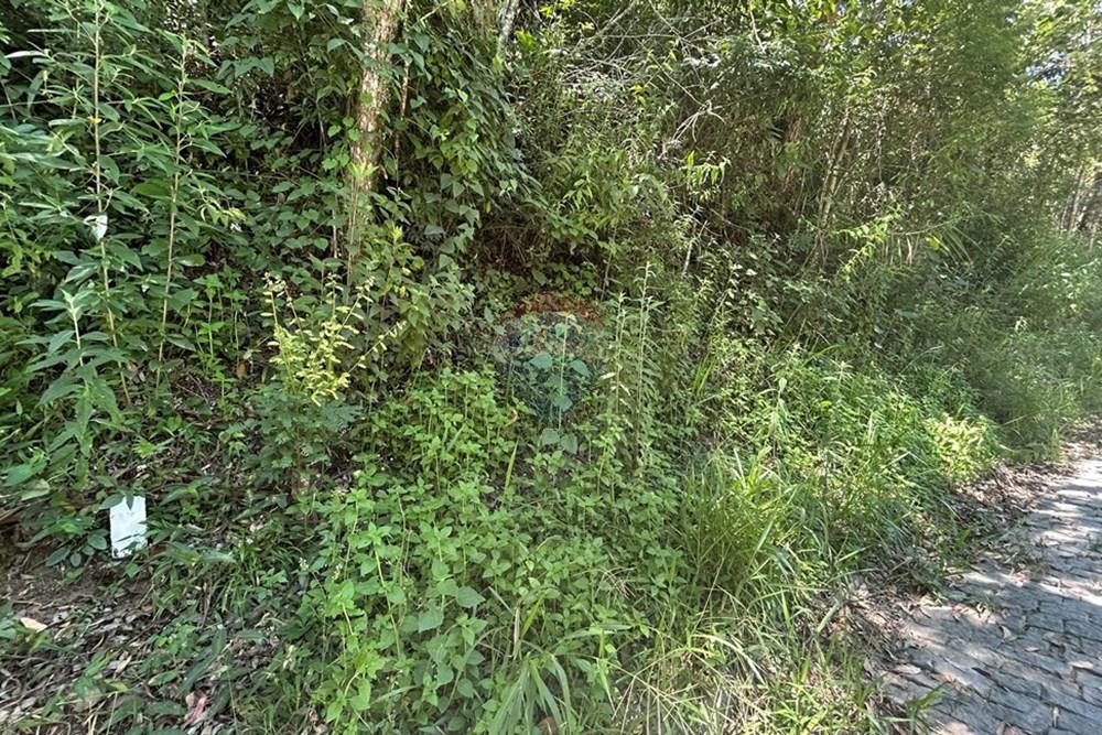 Terreno - Venda - Nova Friburgo , Rio de Janeiro - IMG_6782.JPG - 630551007-320