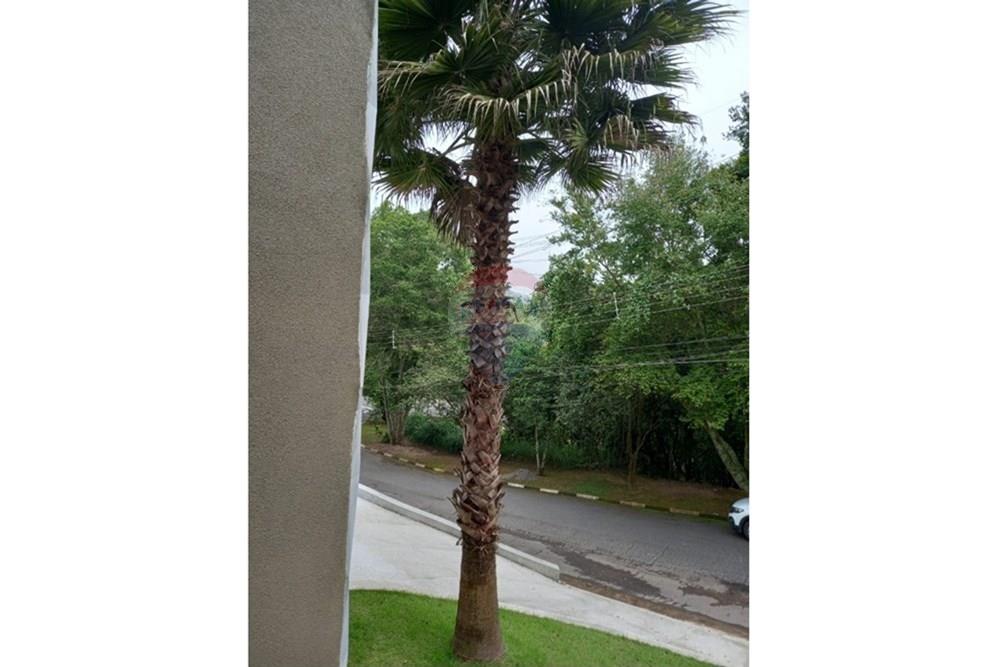 Casa - Venda - Arujá , São Paulo - foto34.jpg - 631491003-45