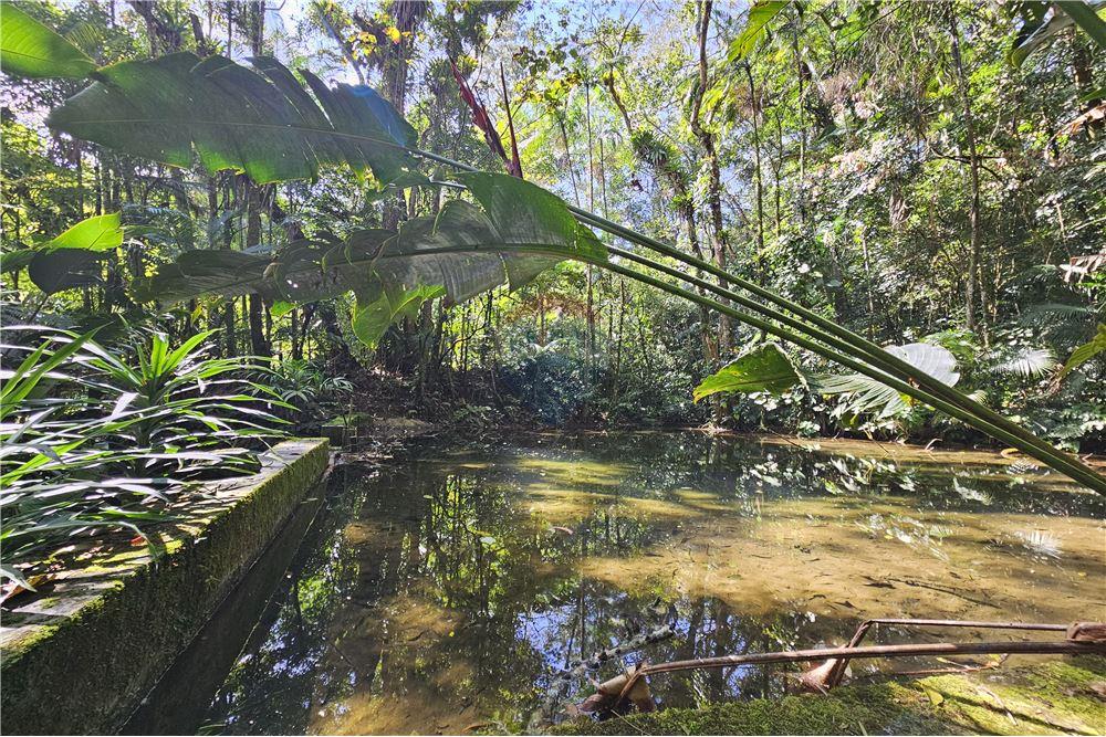 Chácara / Sítio / Fazenda - Venda - Nova Friburgo , Rio de Janeiro - 86 - 630551016-150