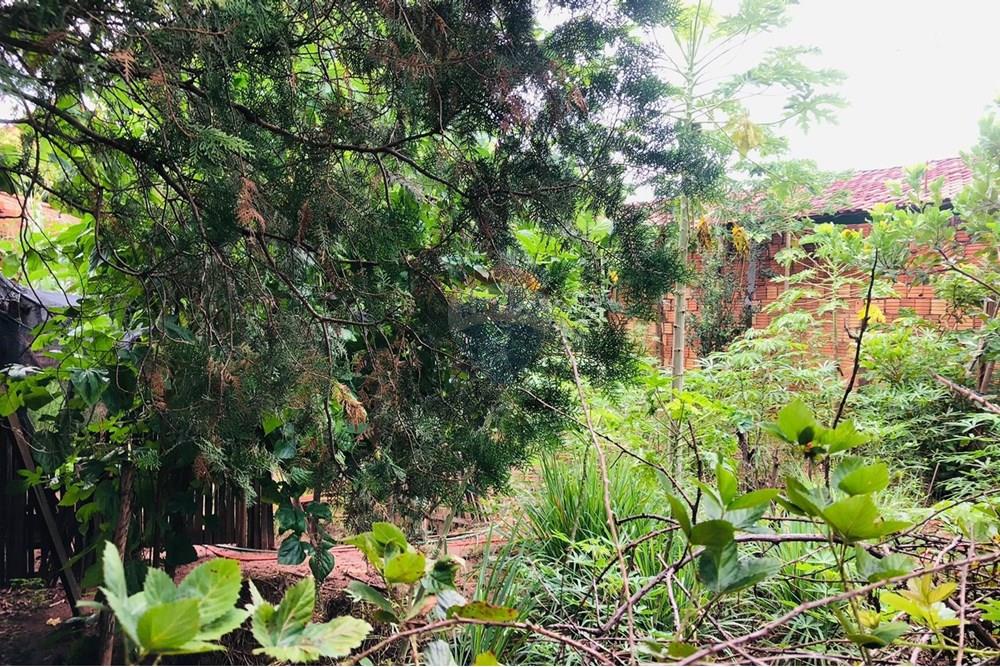 Terreno - Venda - Lins , São Paulo - Alberto Cardoso - imagem 6.jpeg - 631011040-11