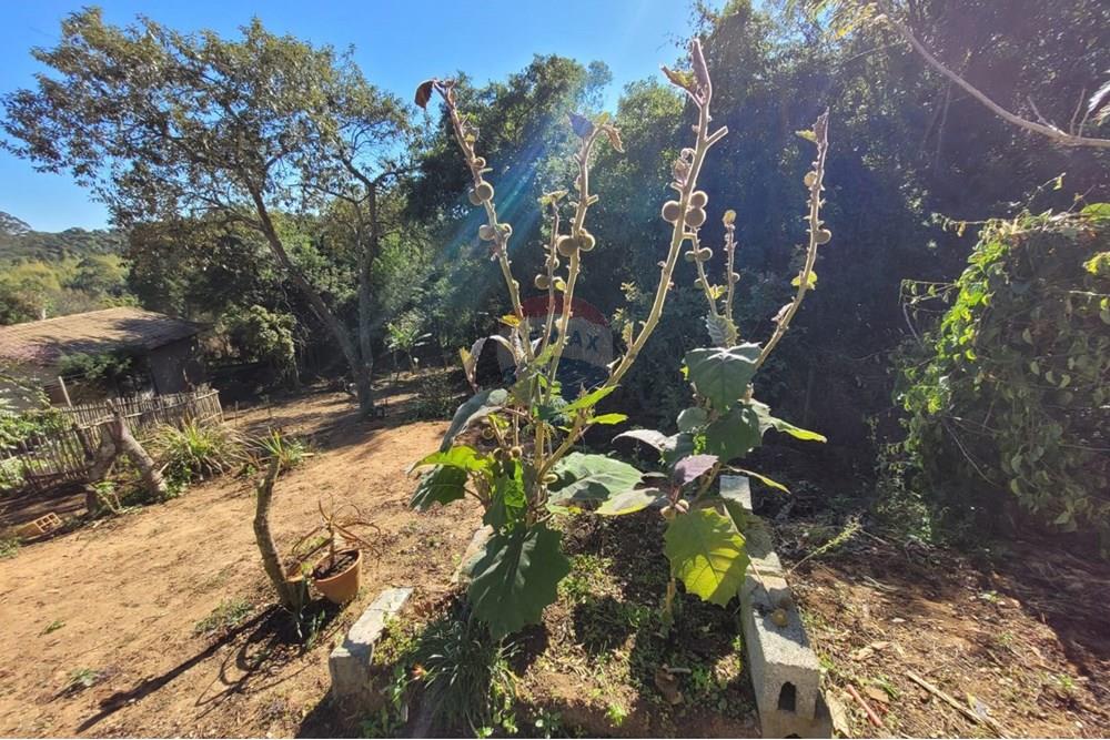 Chácara - Venda - Ibiúna , São Paulo - 23.jpeg - 631331004-46
