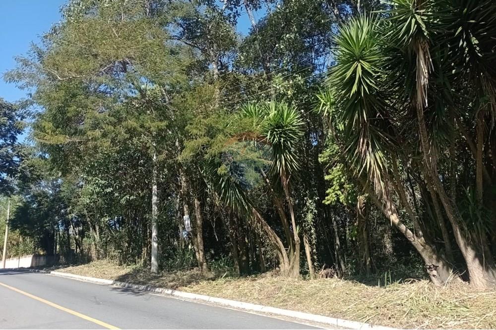 Terreno - Venda - São Roque , São Paulo - WhatsApp Image 2025-08-25 at 15.15.34.jpeg - 631601014-40