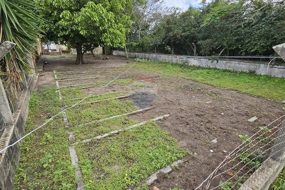 Chácara / Sítio / Fazenda - Venda - Araruama , Rio de Janeiro - HORTA FRUTIFERAS.JPG - 631591007-11