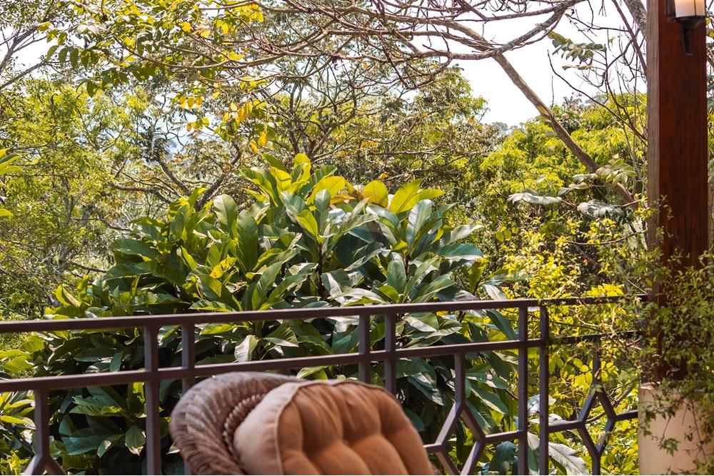 Casa de Condomínio - Venda - Ibiúna , São Paulo - IMG_6882.jpg - 631331006-47