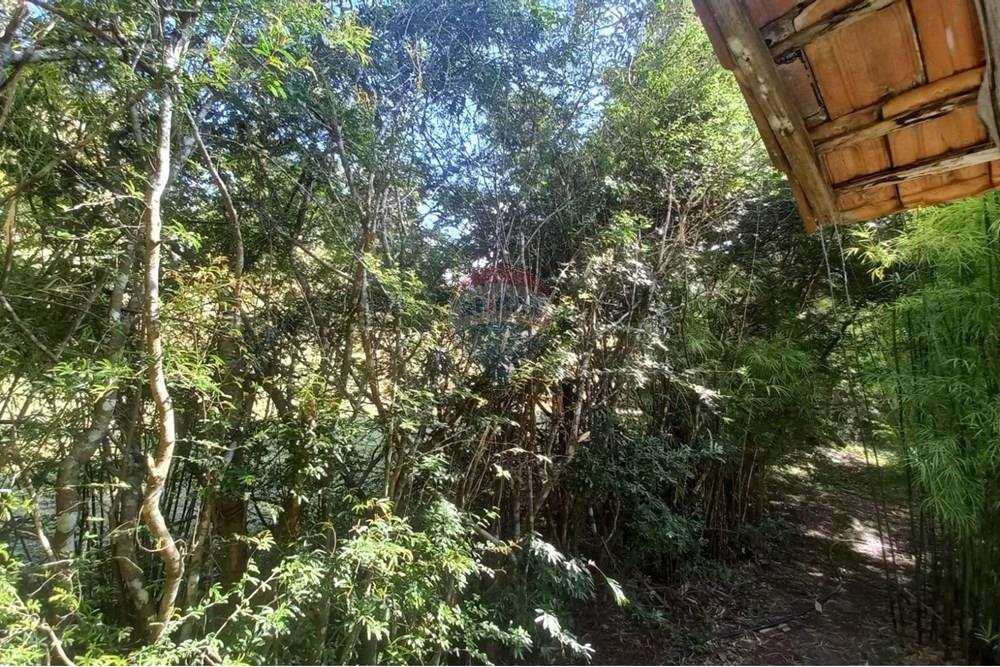 Chácara / Sítio / Fazenda - Venda - Nova Friburgo , Rio de Janeiro - WhatsApp Image 2025-07-21 at 11.11.06 (1).jpeg - 630551037-31