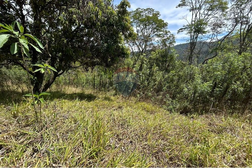 Terreno - Venda - Mairiporã , São Paulo - Imagem do WhatsApp de 2025-10-20 à(s) 12.13.03_4c8b00fa.jpg - 631361005-153