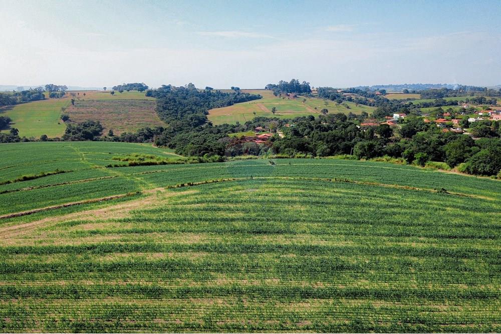 Terreno - Venda - Boituva , São Paulo - Loteamento - Boituva - 6.jpg - 630601137-102