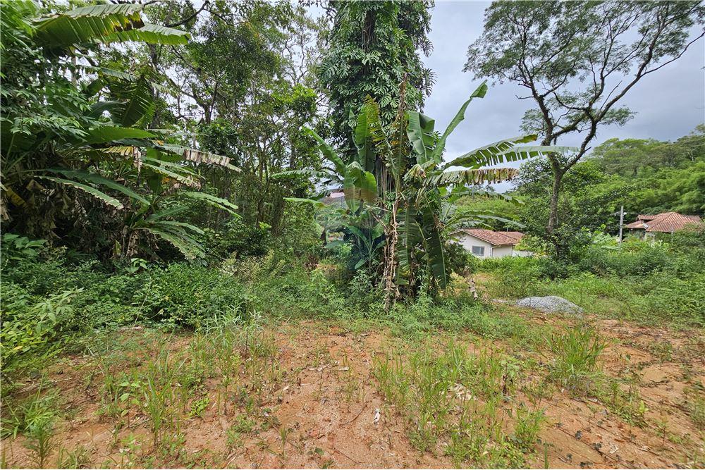 Terreno - Venda - Nova Friburgo , Rio de Janeiro - 35 - 630551016-143