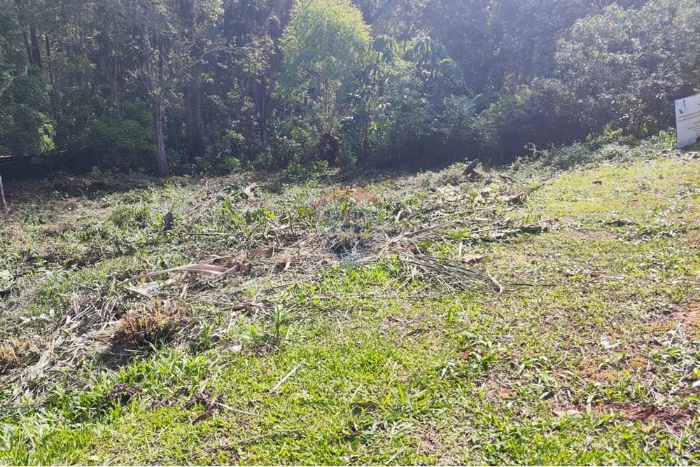 Terreno - Venda - Arujá , São Paulo - Imagem do WhatsApp de 2025-02-26 à(s) 16.17.51_a165e48f.jpg - 631491001-207