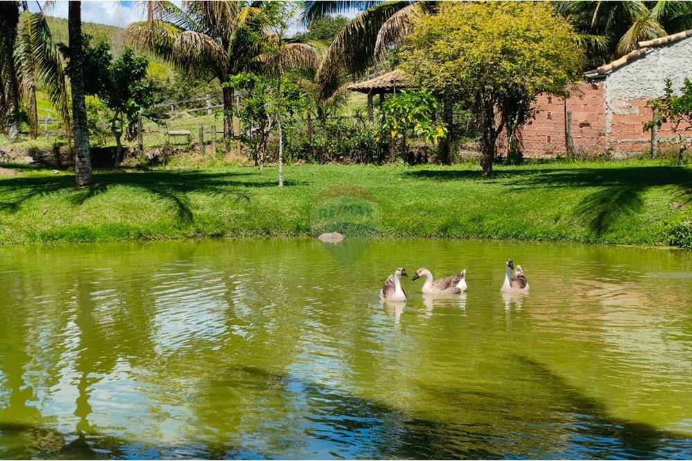 Chácara / Sítio / Fazenda - Venda - Rio Bonito , Rio de Janeiro - WhatsApp Image 2025-09-22 at 14.45.52 (1).jpeg - 631351026-2