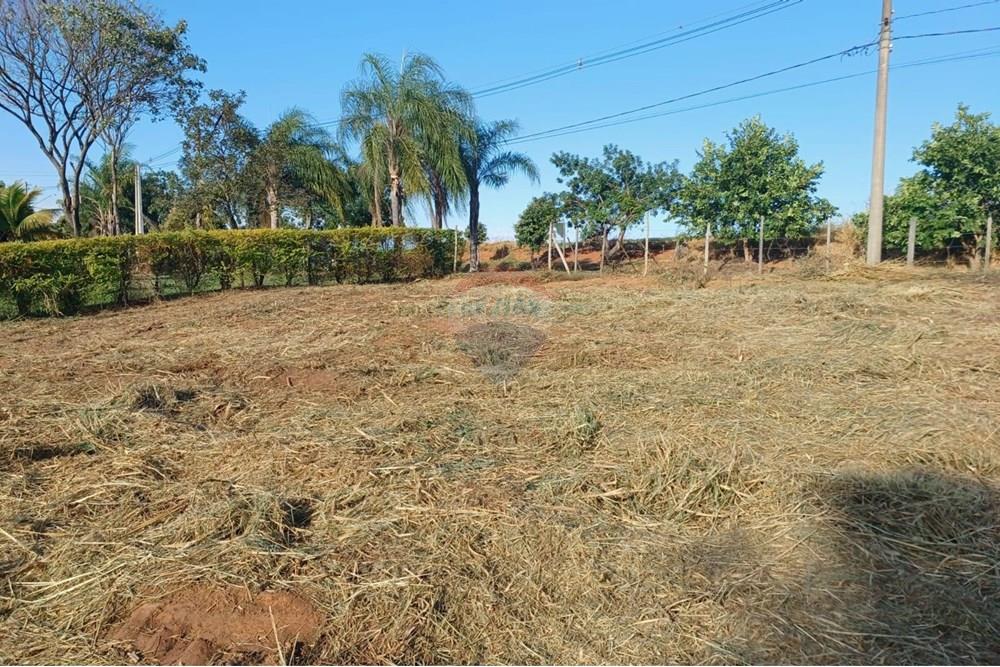 Terreno - Venda - Lins , São Paulo - WhatsApp Image 2024-12-28 at 09.29.44.jpeg - 631011037-12