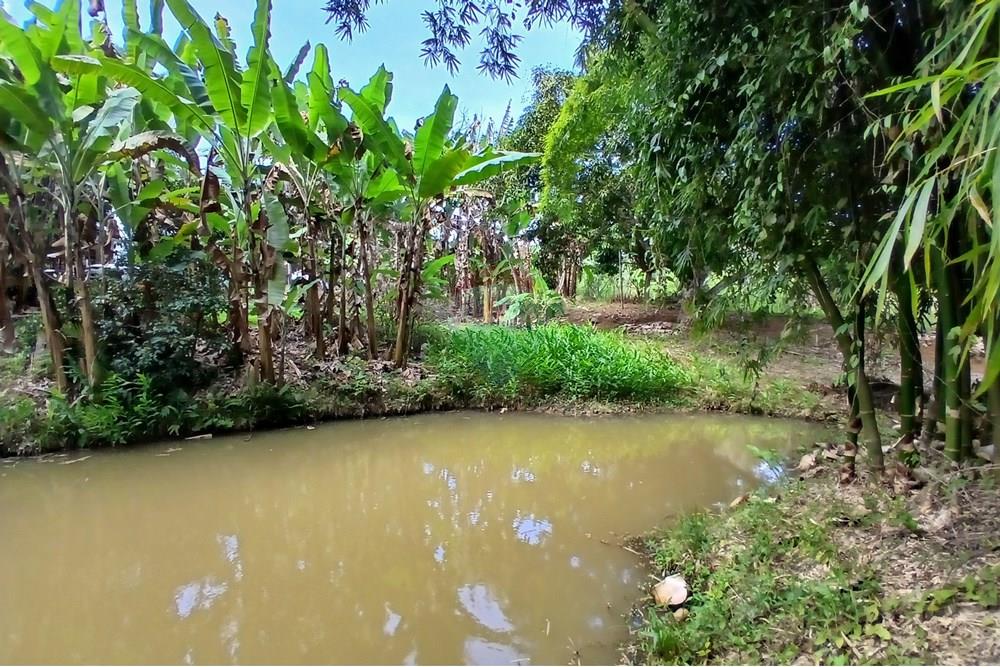 Chácara / Sítio / Fazenda - Venda - Sumidouro , Rio de Janeiro - 20250614_112733.jpg - 630551084-18