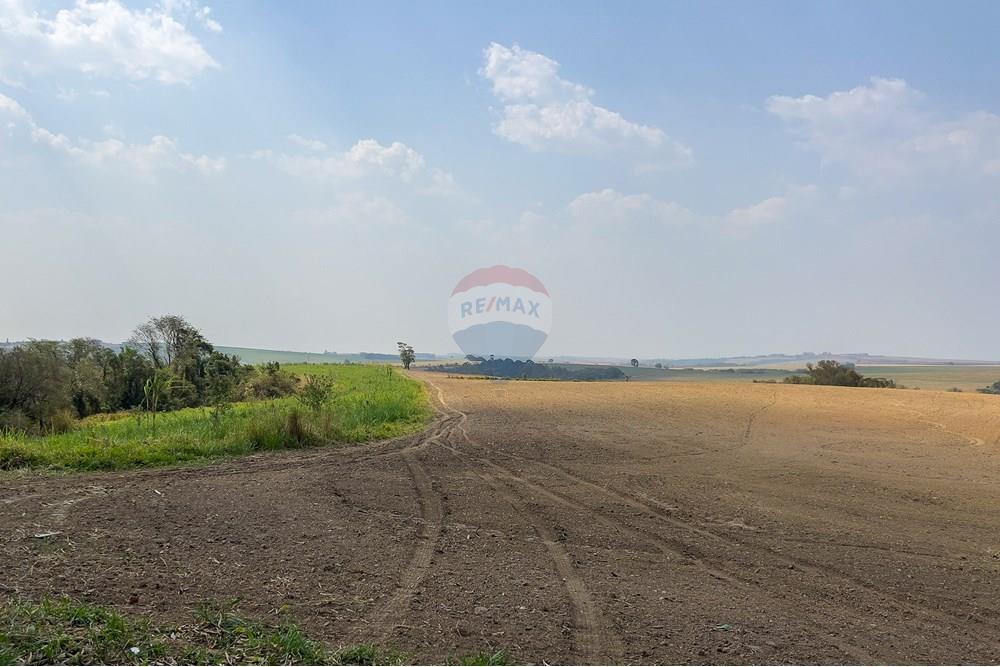 Terreno - Venda - Boituva , São Paulo - IMG_3597_DNG.jpg - 630601137-110