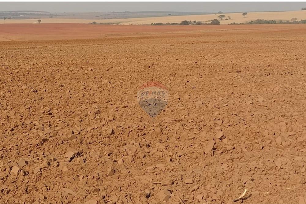 Chácara / Sítio / Fazenda - Venda - Tupã , São Paulo - WhatsApp Image 2024-10-18 at 20.43.08.jpeg - 630541038-17