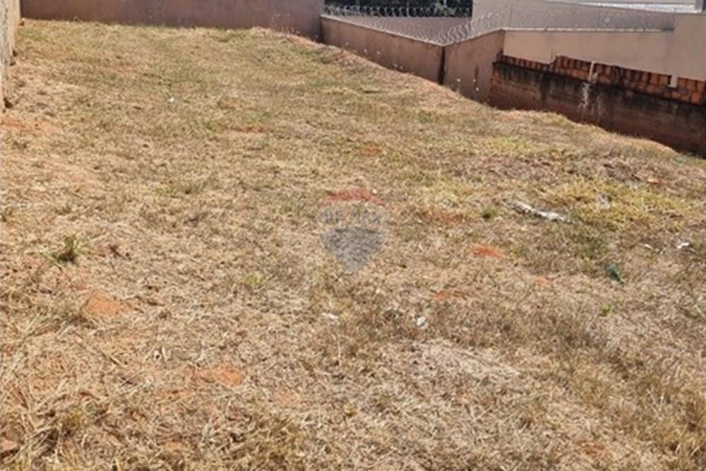 Terreno - Venda - Promissão , São Paulo - WhatsApp Image 2025-08-25 at 12.59.39 (1).jpeg - 630511034-16