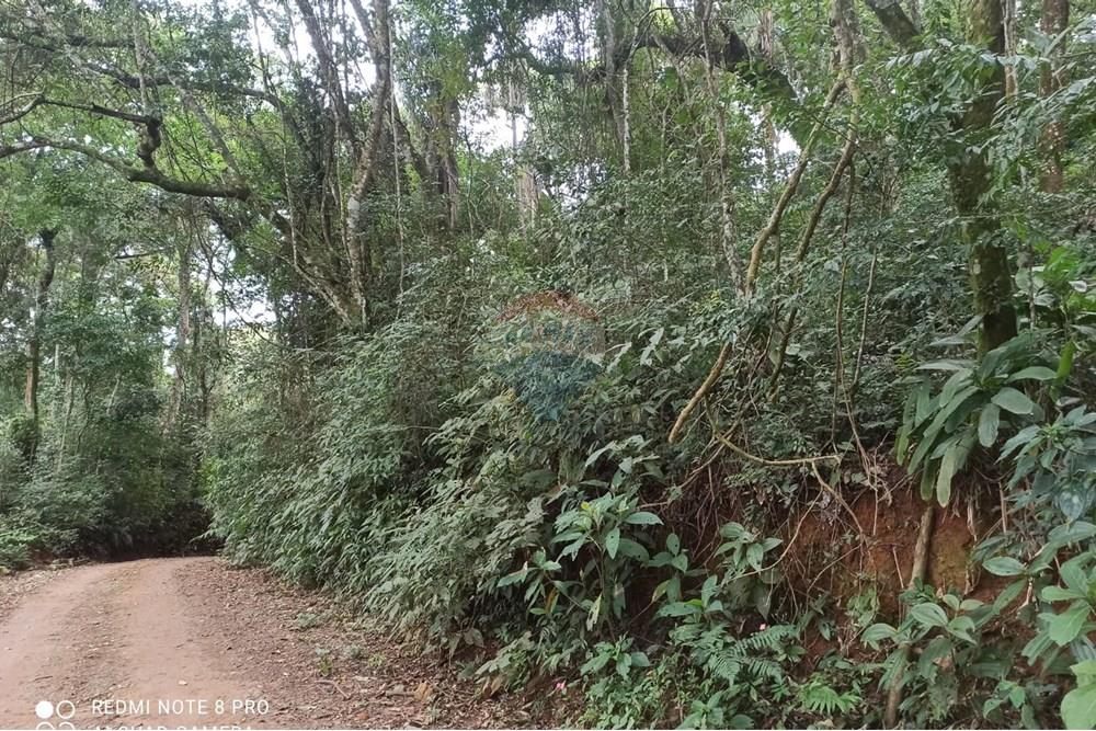 Terreno - Venda - Mairiporã , São Paulo - WhatsApp Image 2025-07-28 at 23.50.05.jpeg - 631361025-37