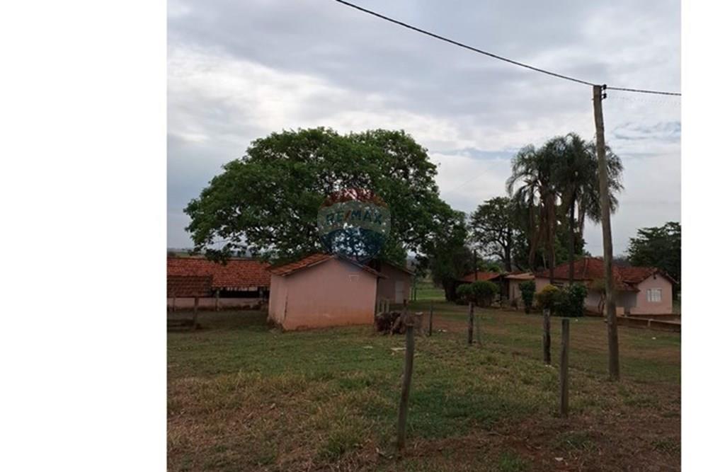 Chácara / Sítio / Fazenda - Venda - Fernandópolis , São Paulo - WhatsApp Image 2024-10-21 at 10.36.51.jpeg - 630541038-16