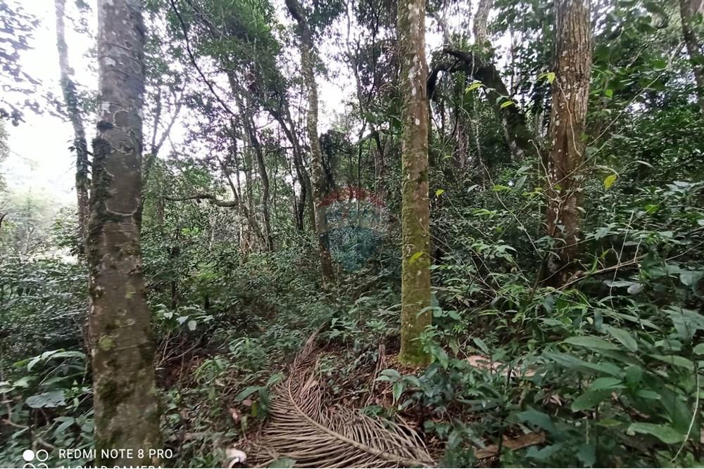 Terreno - Venda - Mairiporã , São Paulo - WhatsApp Image 2025-07-28 at 23.50.18.jpeg - 631361025-37