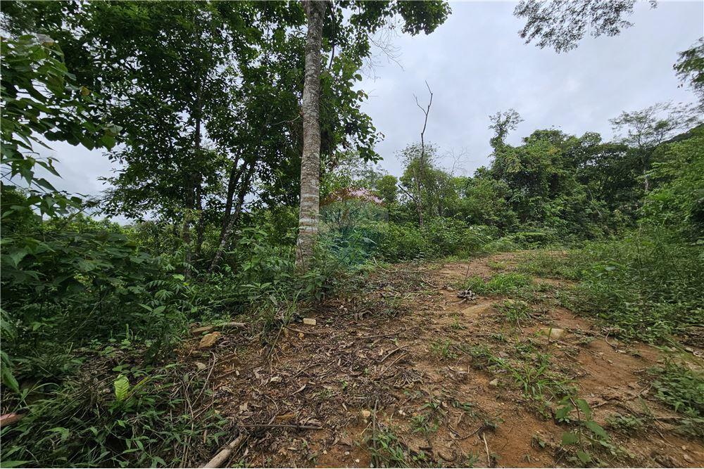 Terreno - Venda - Nova Friburgo , Rio de Janeiro - 22 - 630551016-143