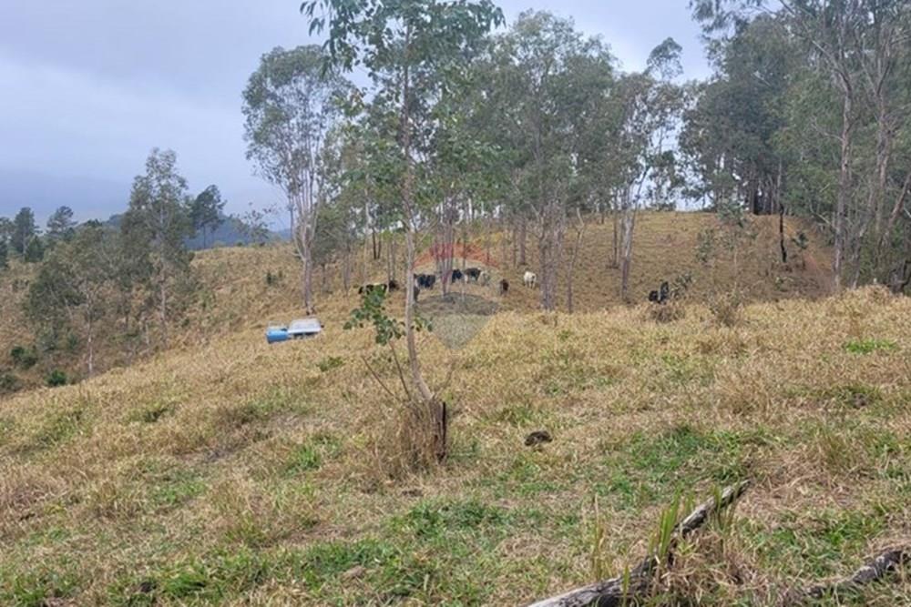 Fazenda - Venda - Teresópolis , Rio de Janeiro - IMG-20250702-WA0066.jpg - 630191078-25