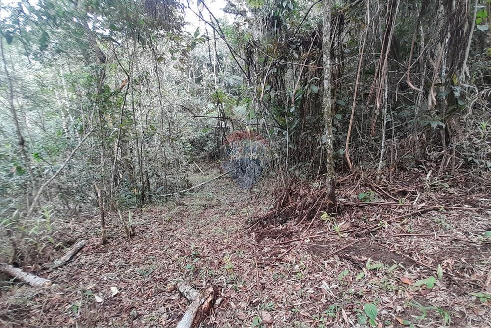 Terreno - Venda - Teresópolis , Rio de Janeiro - 20251012_092645.jpg - 630191084-20