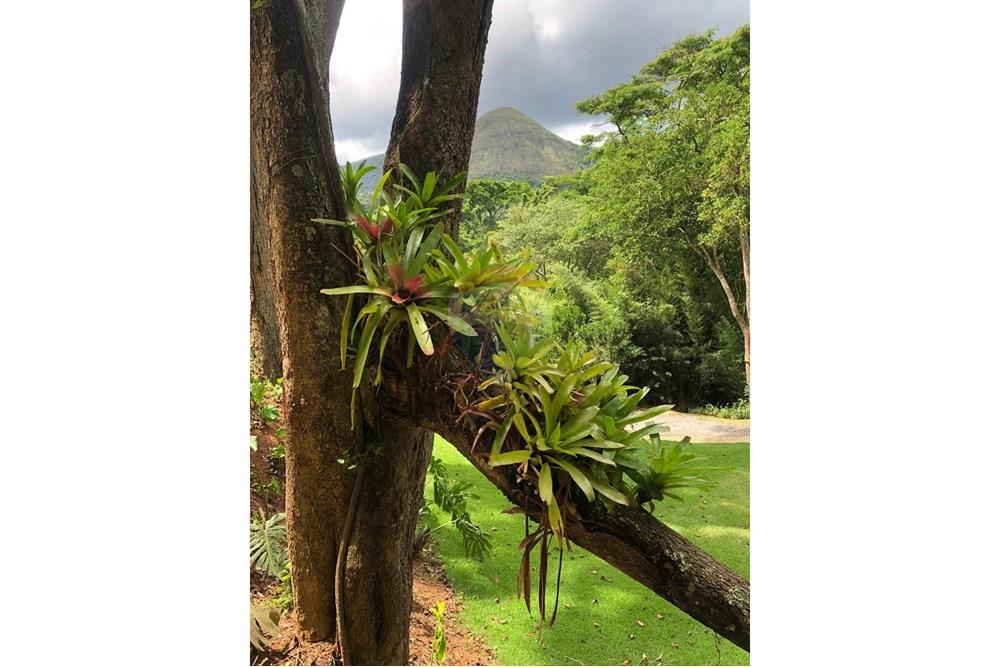 Terreno - Venda - Petrópolis , Rio de Janeiro - WhatsApp Image 2025-10-22 at 06.22.09 (3).jpeg - 630131067-229