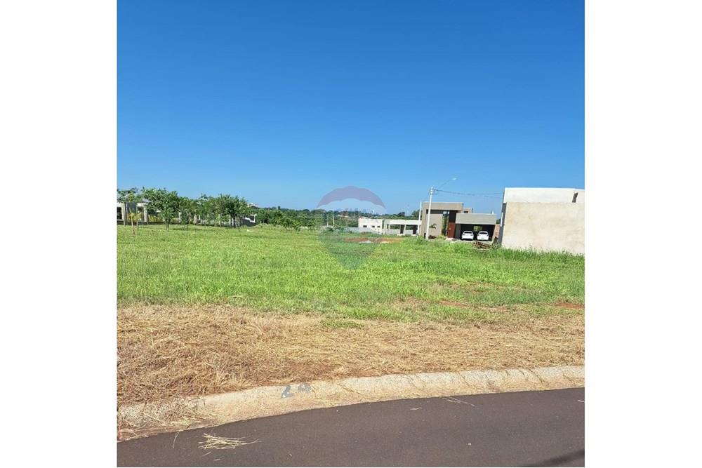 Terreno - Venda - Araçatuba , São Paulo - WhatsApp Image 2025-01-08 at 14.59.53 -.jpeg - 630541038-21