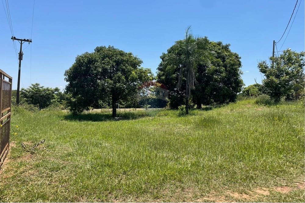 Chácara / Sítio / Fazenda - Venda - Tupã , São Paulo - IMG-20250113-WA0077.jpg - 630151076-3