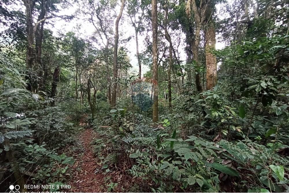 Terreno - Venda - Mairiporã , São Paulo - WhatsApp Image 2025-07-28 at 23.50.18 (2).jpeg - 631361025-37