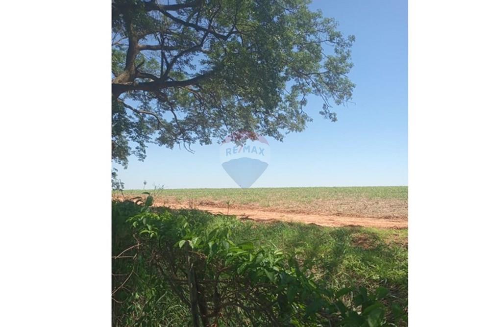 Chácara / Sítio / Fazenda - Venda - Valentim Gentil , São Paulo - WhatsApp Image 2024-11-17 at 09.37.10 (1).jpeg - 630541038-19