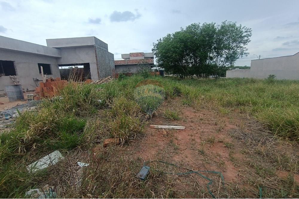 Terreno - Venda - Presidente Prudente , São Paulo - IMG_20251028_120016.jpg - 630861066-13