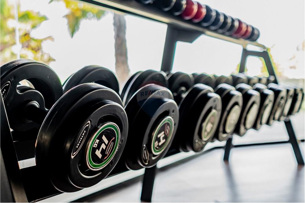 Terreno - Venda - Birigui , São Paulo - DSC09575.jpeg - 630851048-14