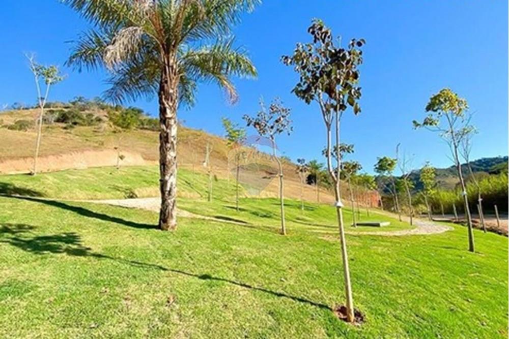 Terreno - Venda - Sapucaia , Rio de Janeiro - 737fc12c-8b3a-4cab-bd8b-a01a3db52e69.jpeg - 630191046-43