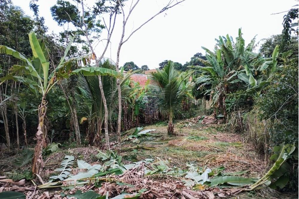 Terreno - Venda - Armação dos Búzios , Rio de Janeiro - WhatsApp Image 2025-05-29 at 13.33.27 (2).jpeg - 630391085-9