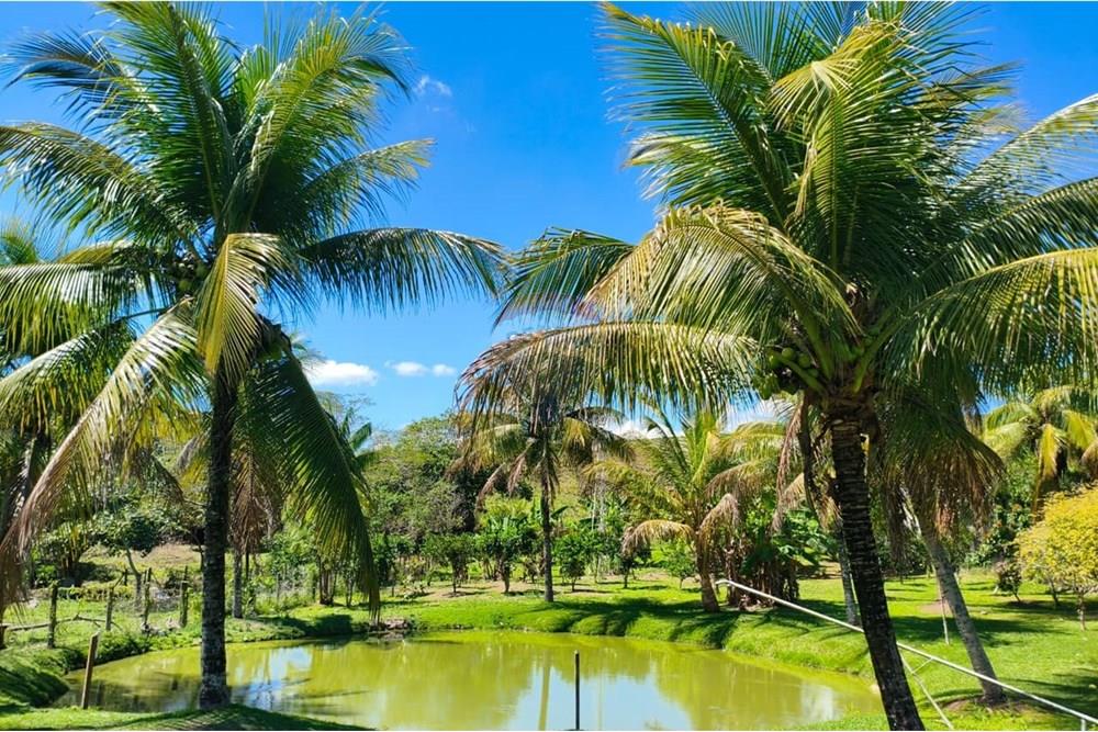 Chácara / Sítio / Fazenda - Venda - Rio Bonito , Rio de Janeiro - WhatsApp Image 2025-09-22 at 14.45.58.jpeg - 631351026-2