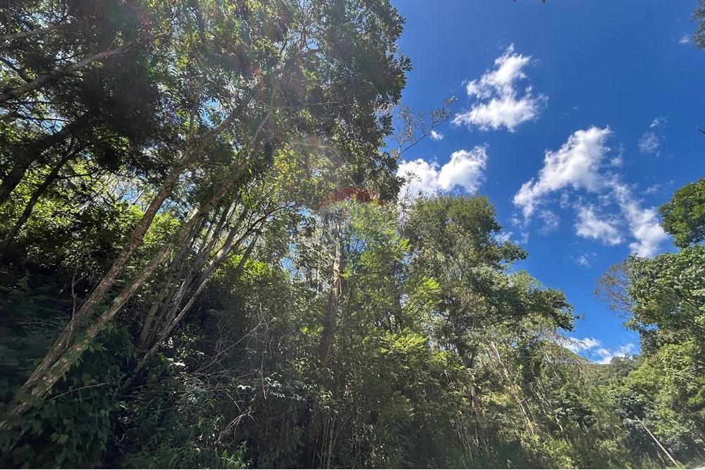 Terreno - Venda - Nova Friburgo , Rio de Janeiro - IMG_6789.JPG - 630551007-320