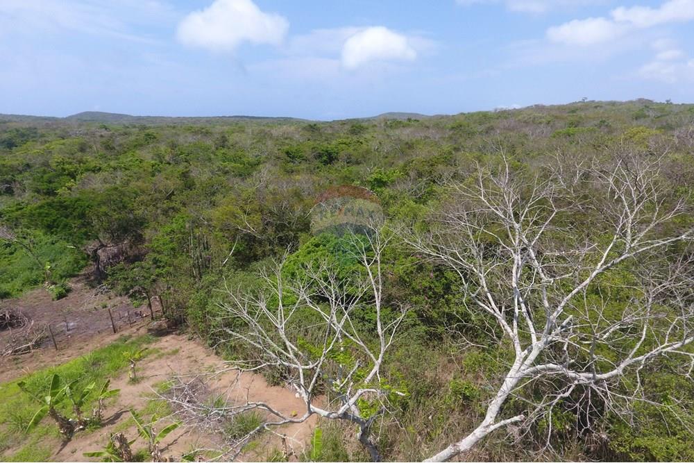 Terreno - Venda - Armação dos Búzios , Rio de Janeiro - DJI_0017.JPG - 630391002-125