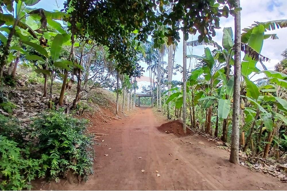 Chácara / Sítio / Fazenda - Venda - Sumidouro , Rio de Janeiro - 20250614_112918.jpg - 630551084-18