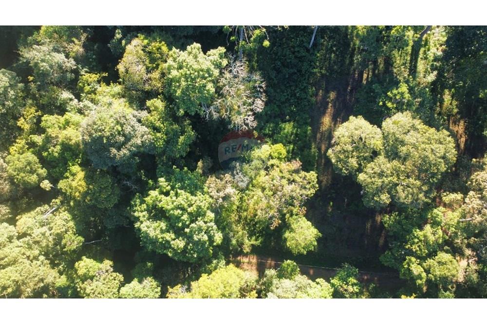 Terreno - Venda - Teresópolis , Rio de Janeiro - WhatsApp Image 2023-07-10 at 13.48.11.jpeg - 630191096-4