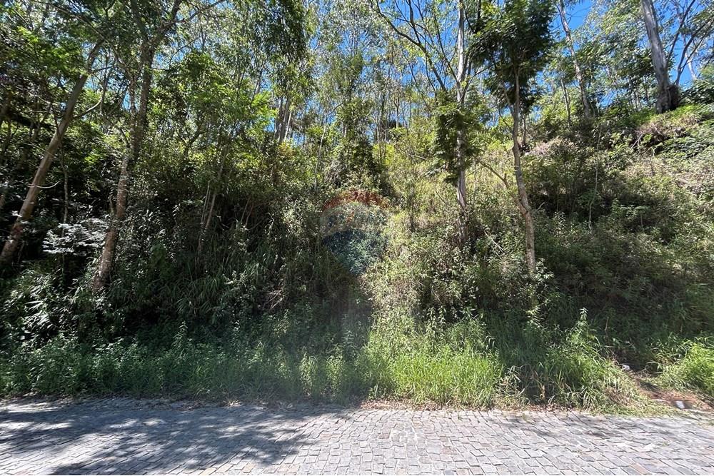 Terreno - Venda - Nova Friburgo , Rio de Janeiro - IMG_6803.JPG - 630551007-320