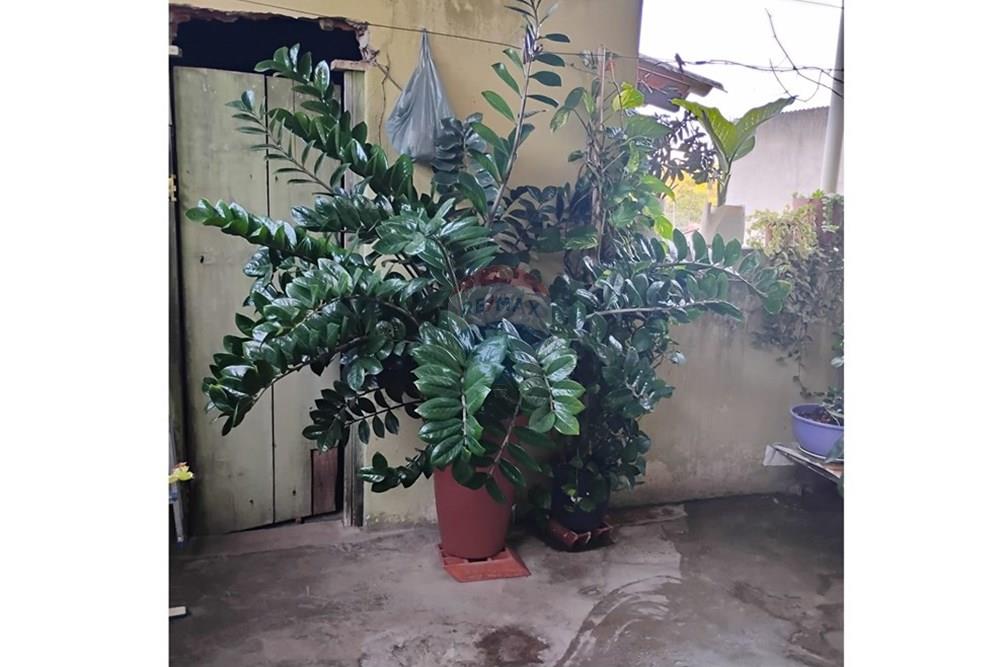 Casa - Venda - Itu , São Paulo - WhatsApp Image 2025-05-24 at 16.20.06.jpeg - 631281017-17