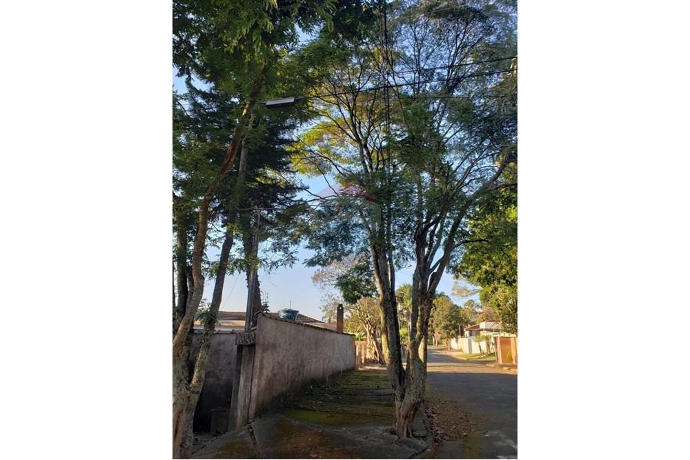 Fazenda / Sítio / Chácara com 2 quartos à venda, 40m² — foto 7 de 10