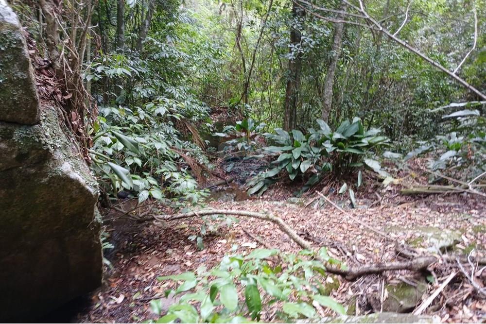 Terreno - Venda - Mogi das Cruzes , São Paulo - WhatsApp Image 2024-11-11 at 11.58.51 (1).jpeg - 631541001-10