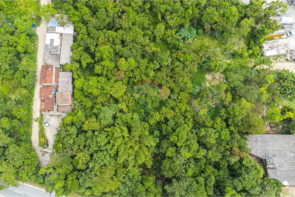 Terreno - Venda - São Sebastião , São Paulo - DJI_0829.JPEG - 631461029-6