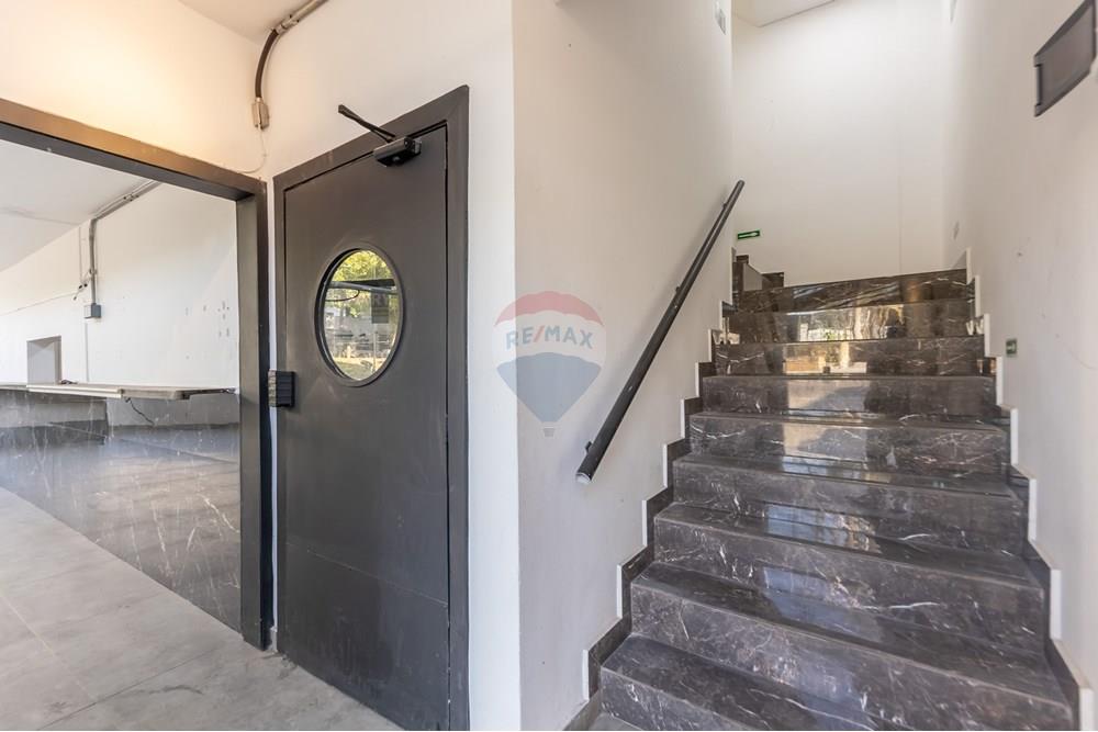 Prédio - Venda - São Caetano do Sul , São Paulo - IMG_001134.jpg - 630821067-15