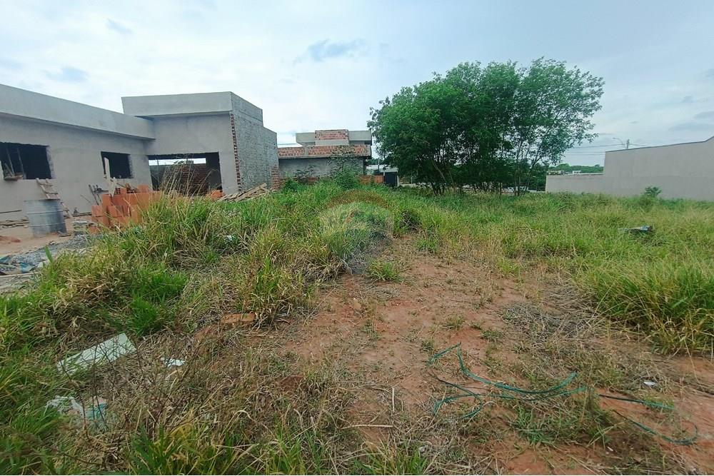 Terreno - Venda - Presidente Prudente , São Paulo - IMG_20251028_120147.jpg - 630861066-13