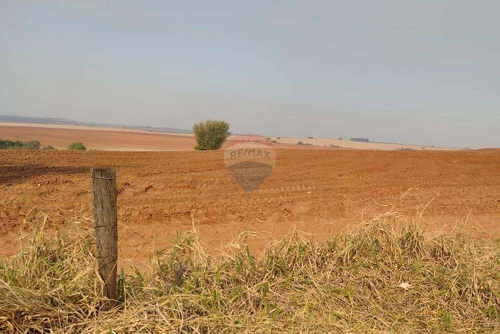 Chácara / Sítio / Fazenda - Venda - Tupã , São Paulo - WhatsApp Image 2024-10-18 at 20.43.10 (1).jpeg - 630541038-17